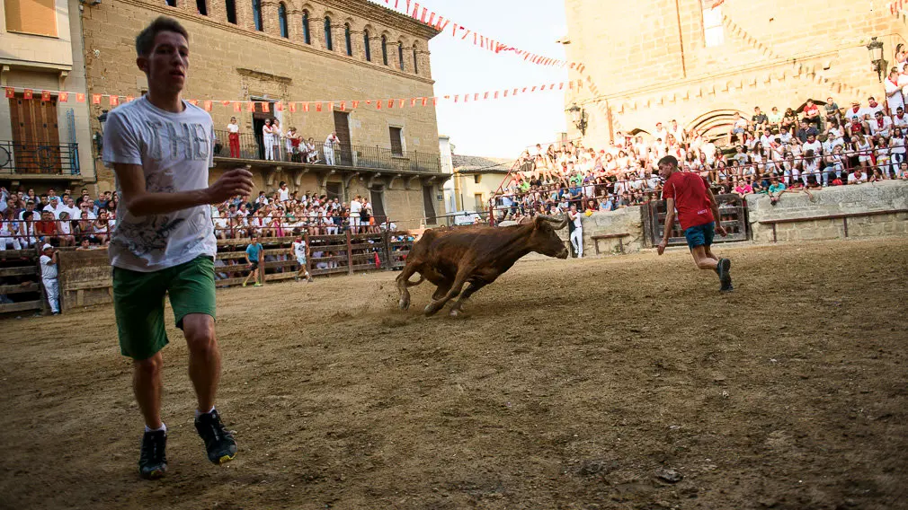 Suelta de vacas durante las fiestas de Carcastillo 2018. PABLO LASAOSA 12