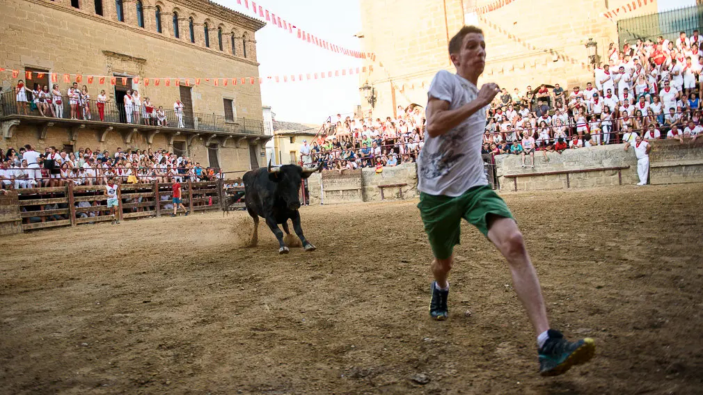 Suelta de vacas durante las fiestas de Carcastillo 2018. PABLO LASAOSA 13