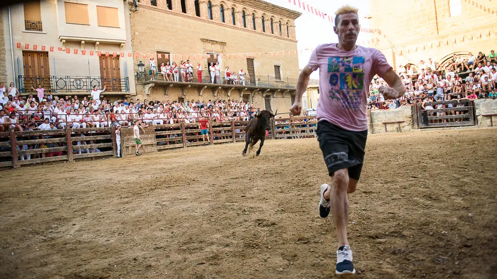 Suelta de vacas durante las fiestas de Carcastillo 2018. PABLO LASAOSA 16