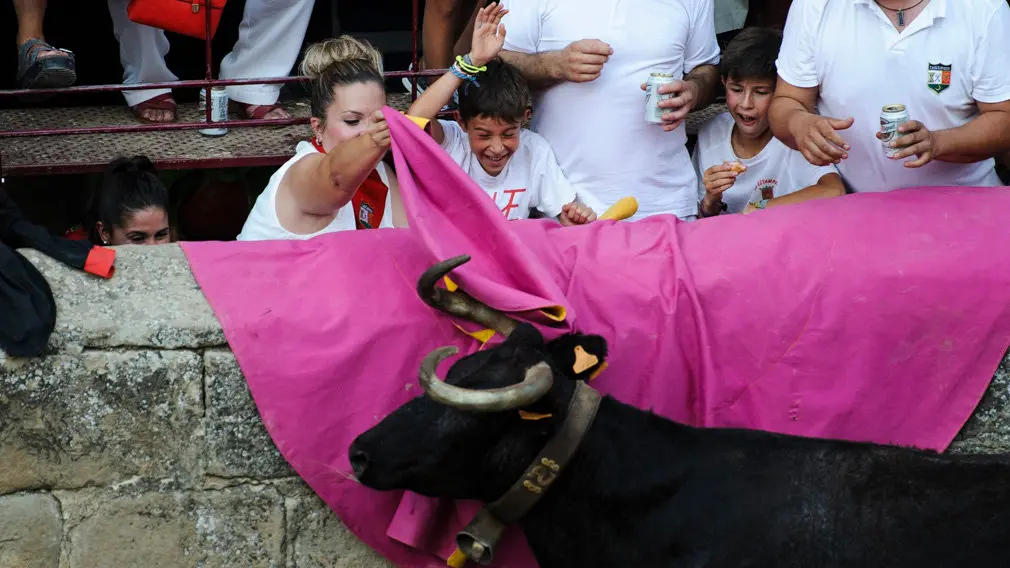 Suelta de vacas en las fiestas de 2018 de Carcastillo. MIGUEL OSÉS_18