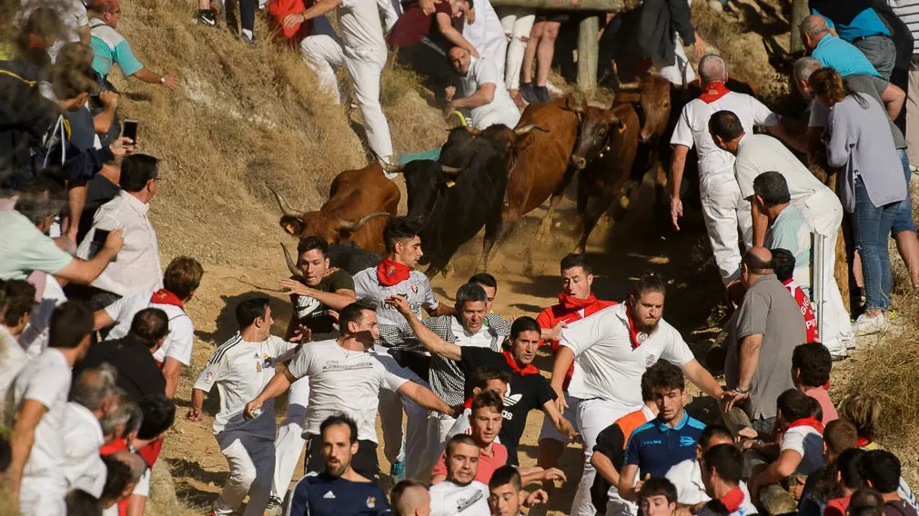 Cuarto encierro del Pilón de las fiestas de Falces 2018 . PABLO LASAOSA 01