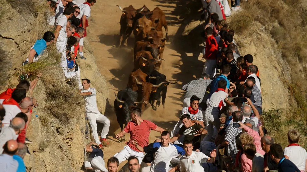 Cuarto encierro del Pilón de las fiestas de Falces 2018 . PABLO LASAOSA 03