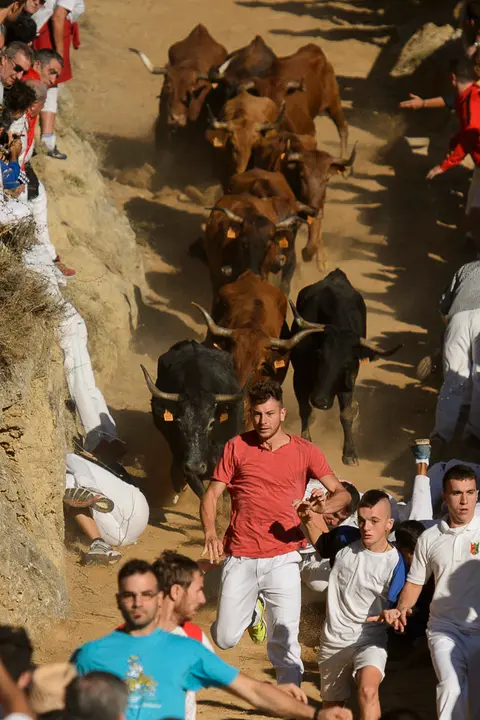Cuarto encierro del Pilón de las fiestas de Falces 2018 . PABLO LASAOSA 04