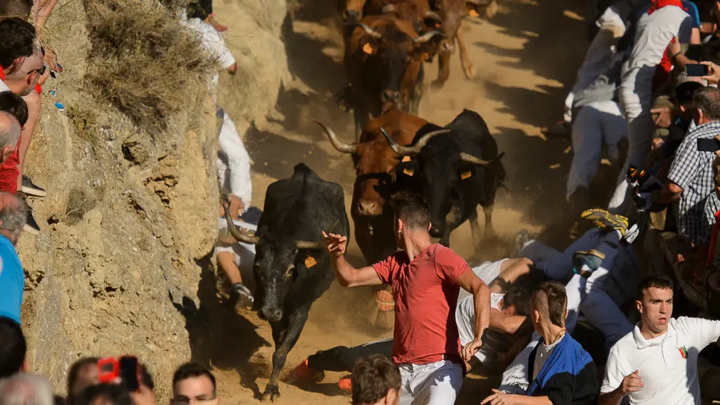 Cuarto encierro del Pilón de las fiestas de Falces 2018 . PABLO LASAOSA 05