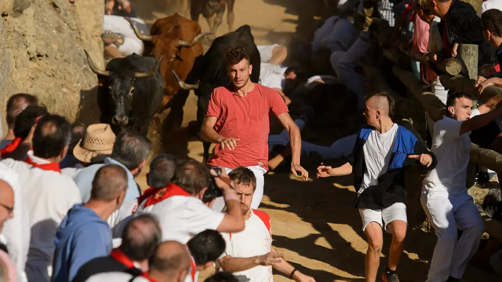 Cuarto encierro del Pilón de las fiestas de Falces 2018 . PABLO LASAOSA 06