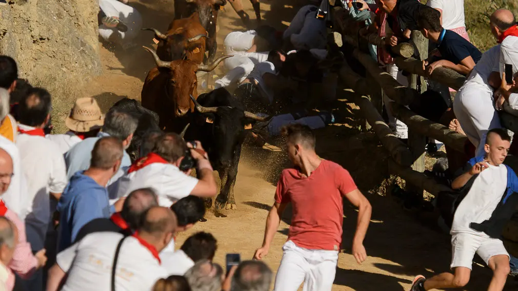 Cuarto encierro del Pilón de las fiestas de Falces 2018 . PABLO LASAOSA 07