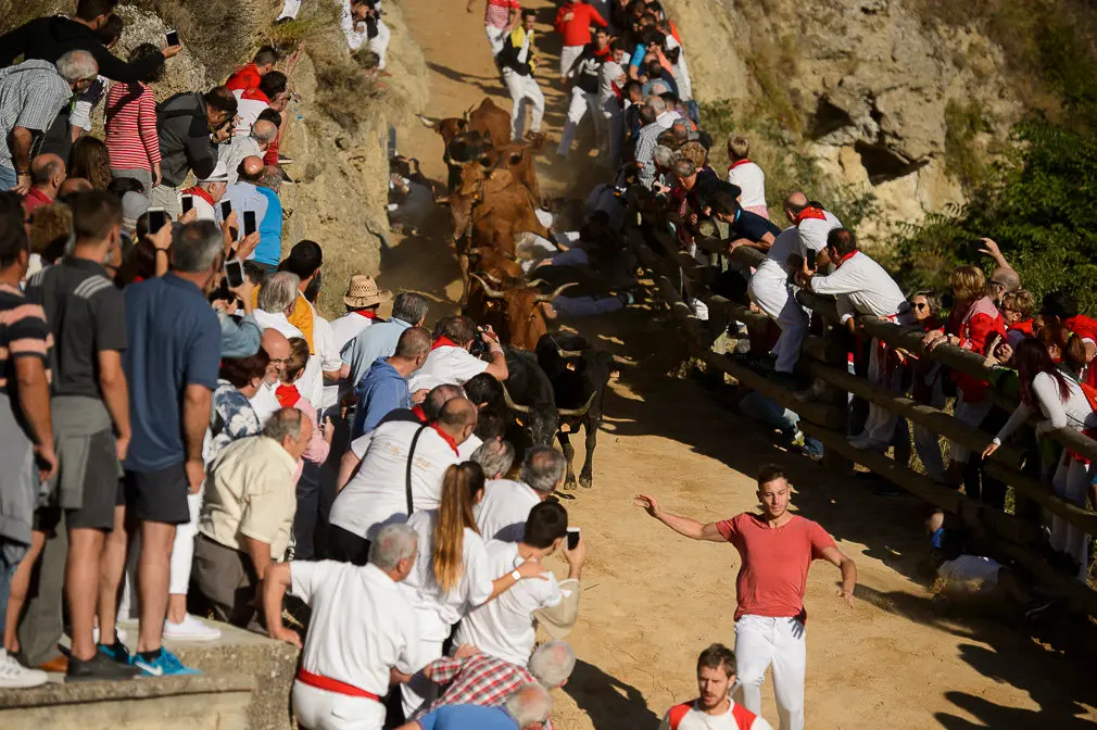 Cuarto encierro del Pilón de las fiestas de Falces 2018 . PABLO LASAOSA 08