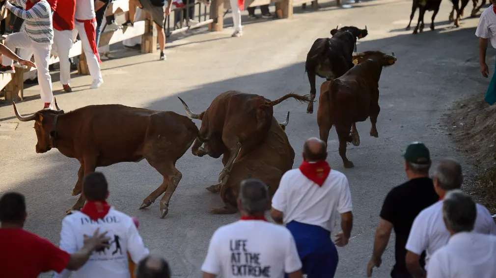 Cuarto encierro del Pilón de las fiestas de Falces 2018 . PABLO LASAOSA 09