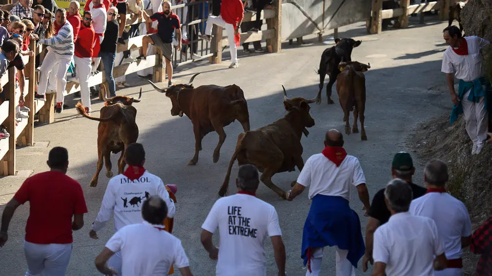 Cuarto encierro del Pilón de las fiestas de Falces 2018 . PABLO LASAOSA 10