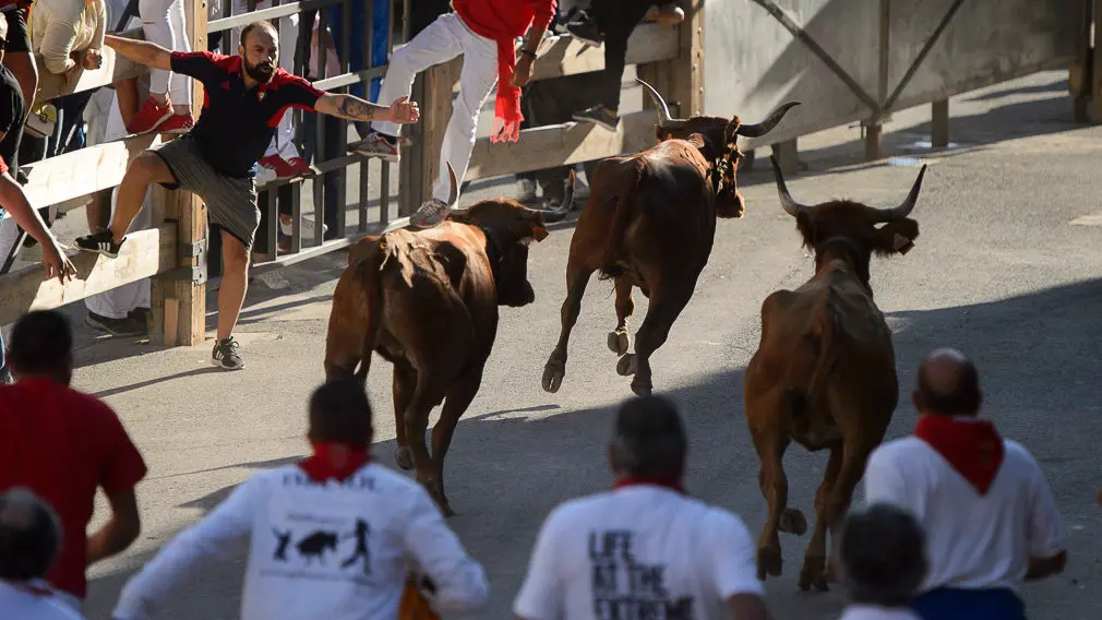 Cuarto encierro del Pilón de las fiestas de Falces 2018 . PABLO LASAOSA 11