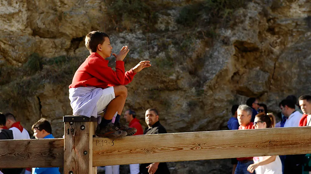 Cuarto encierro de El Pilón de las fiestas de Falces de 2018. MIGUEL OSÉS (11)