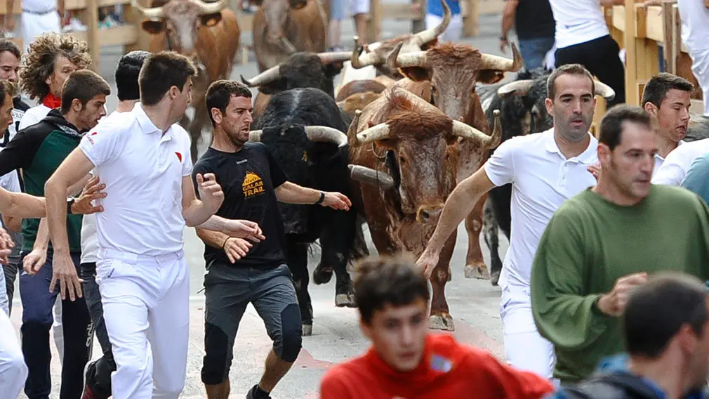 Primer encierro de las fiestas de Peralta de 2018 con novillos de la ganadería de Aldeanueva. MIGUEL OSÉS (1)