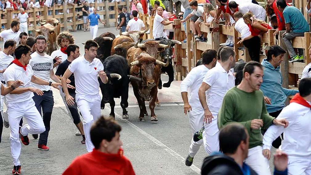 Primer encierro de las fiestas de Peralta de 2018 con novillos de la ganadería de Aldeanueva. MIGUEL OSÉS (2)