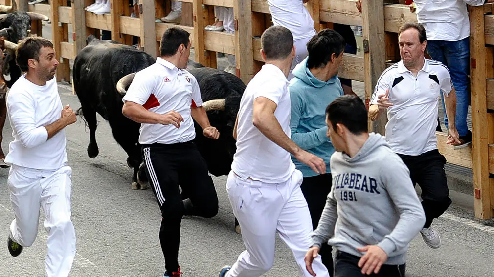 Primer encierro de las fiestas de Peralta de 2018 con novillos de la ganadería de Aldeanueva. MIGUEL OSÉS (3)