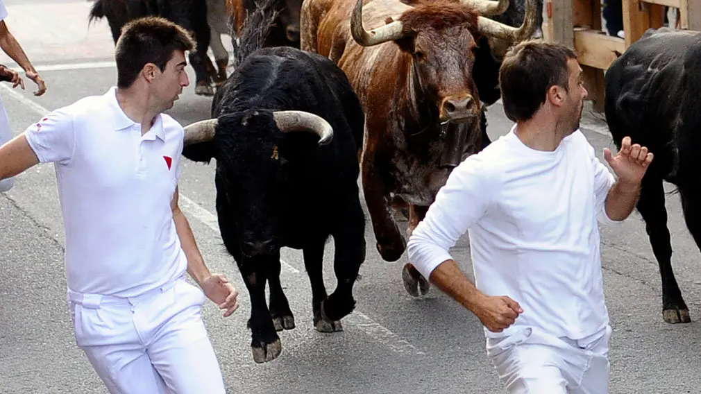 Primer encierro de las fiestas de Peralta de 2018 con novillos de la ganadería de Aldeanueva. MIGUEL OSÉS (4)