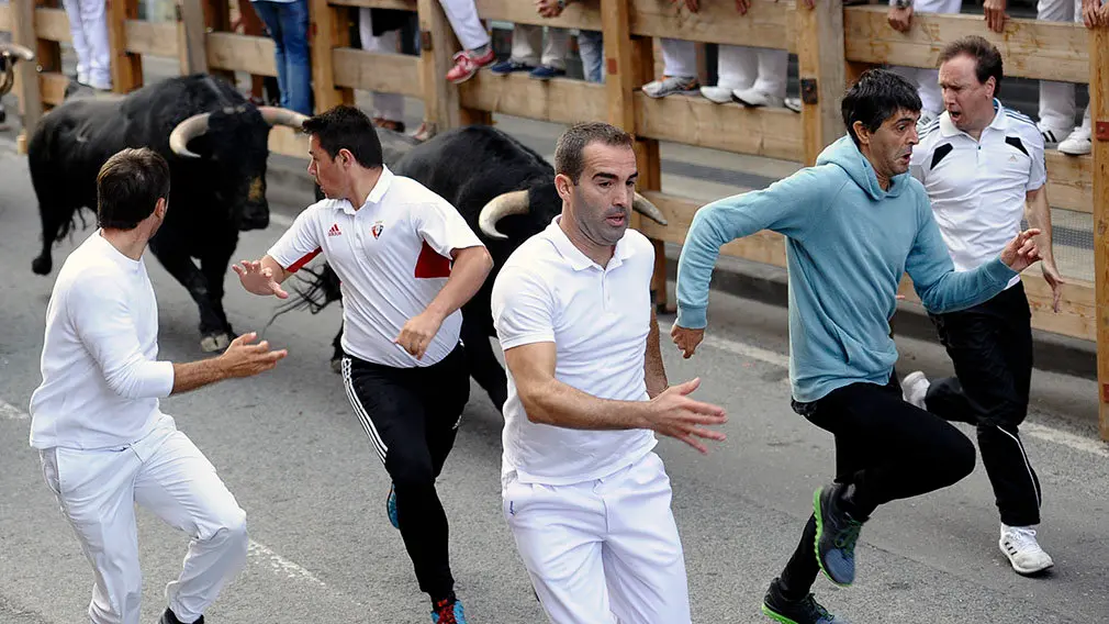 Primer encierro de las fiestas de Peralta de 2018 con novillos de la ganadería de Aldeanueva. MIGUEL OSÉS (5)