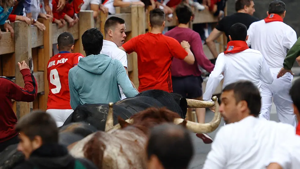Primer encierro de las fiestas de Peralta de 2018 con novillos de la ganadería de Aldeanueva. MIGUEL OSÉS (8)