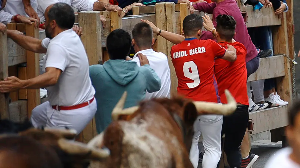 Primer encierro de las fiestas de Peralta de 2018 con novillos de la ganadería de Aldeanueva. MIGUEL OSÉS (9)