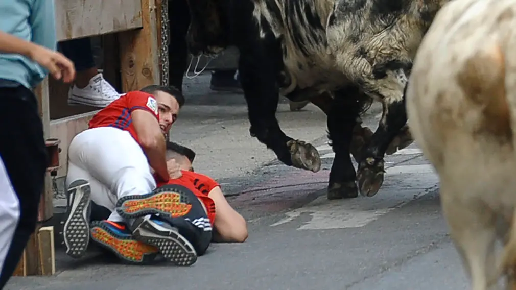 Primer encierro de las fiestas de Peralta de 2018 con novillos de la ganadería de Aldeanueva. MIGUEL OSÉS (10)