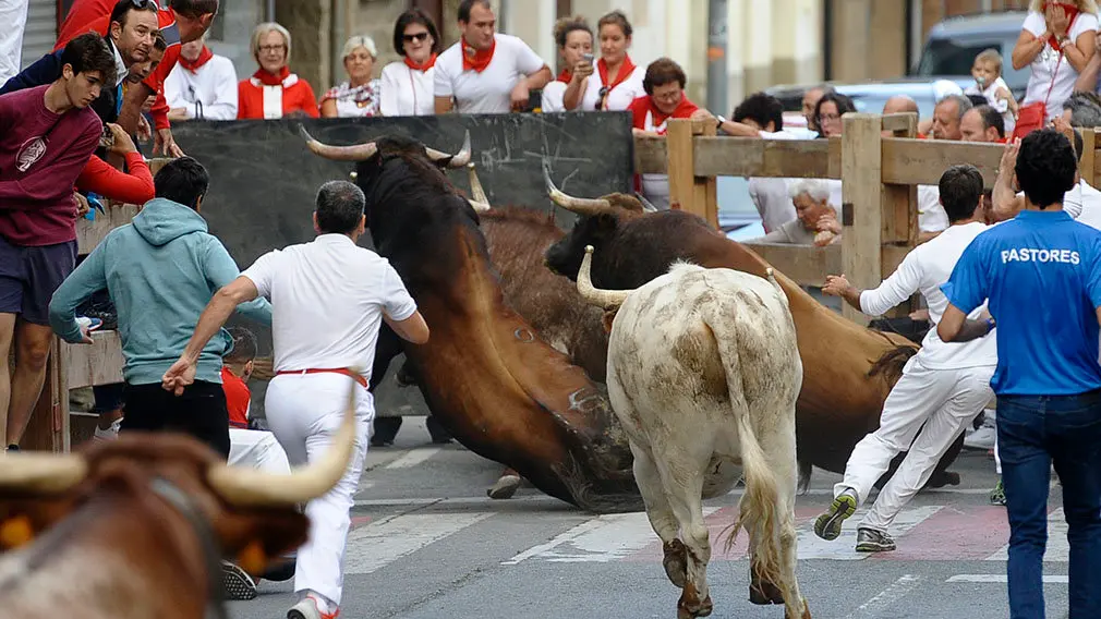 Primer encierro de las fiestas de Peralta de 2018 con novillos de la ganadería de Aldeanueva. MIGUEL OSÉS (11)