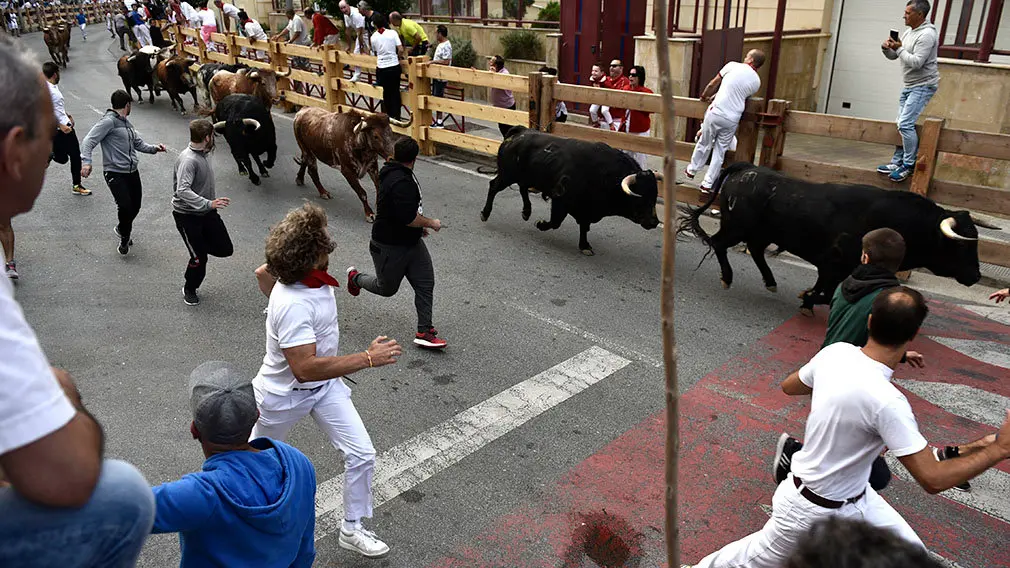 Primer encierro de las fiestas de Peralta de 2018 con novillos de la ganadería de Aldeanueva. MIGUEL OSÉS (12)