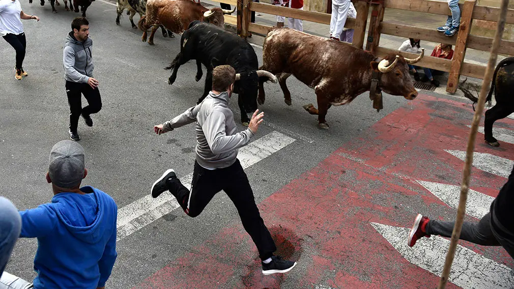 Primer encierro de las fiestas de Peralta de 2018 con novillos de la ganadería de Aldeanueva. MIGUEL OSÉS (13)