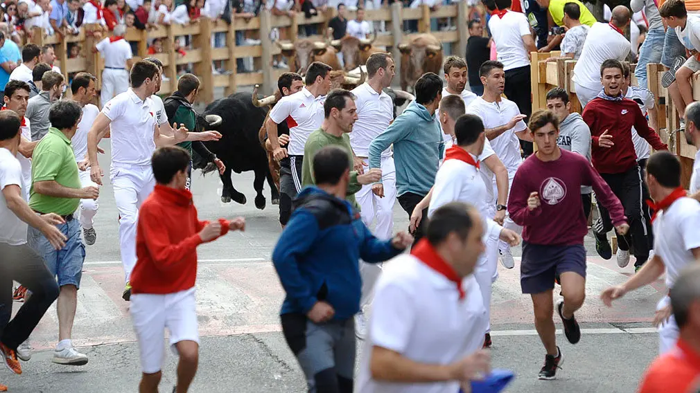Primer encierro de las fiestas de Peralta de 2018 con novillos de la ganadería de Aldeanueva. MIGUEL OSÉS (14)