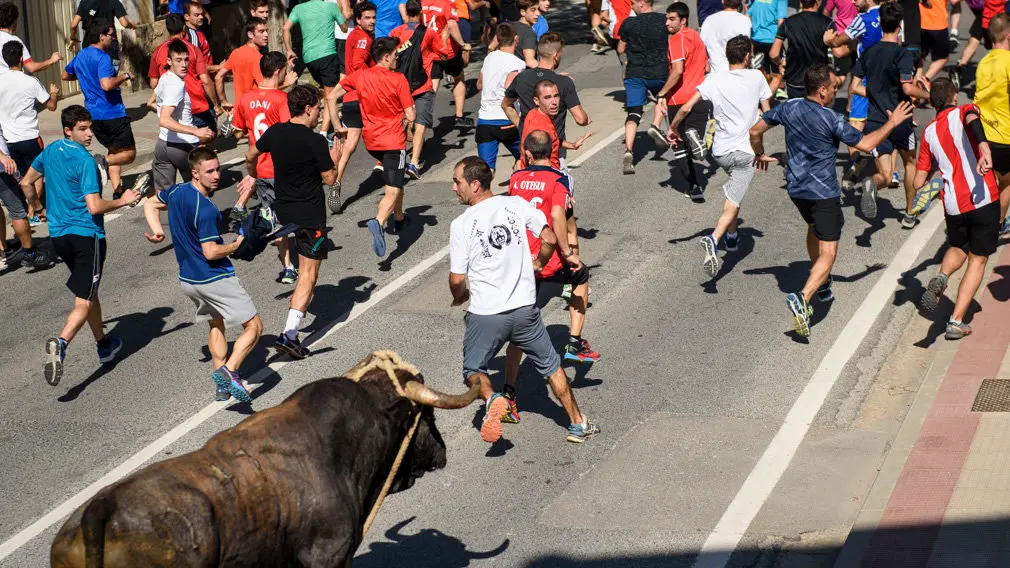 Toro con Soga en Lodosa el sabado de las Angustias por la mañana. MIGUEL OSÉS_8