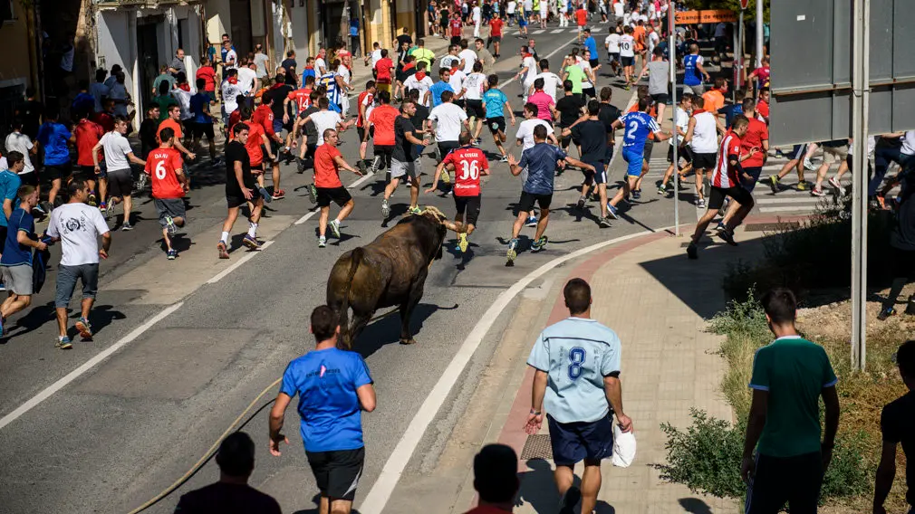 Toro con Soga en Lodosa el sabado de las Angustias por la mañana. MIGUEL OSÉS_10