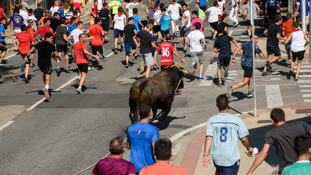 Toro con Soga en Lodosa el sabado de las Angustias por la mañana. MIGUEL OSÉS