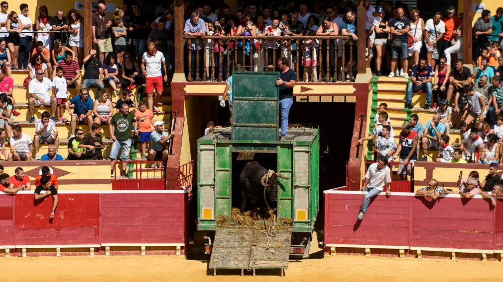 Toro con Soga en Lodosa el sabado de las Angustias por la mañana. MIGUEL OSÉS_23