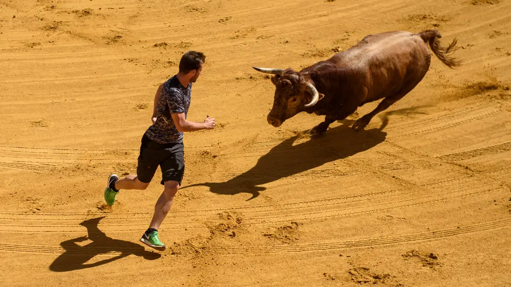 Toro con Soga en Lodosa el sabado de las Angustias por la mañana. MIGUEL OSÉS_28