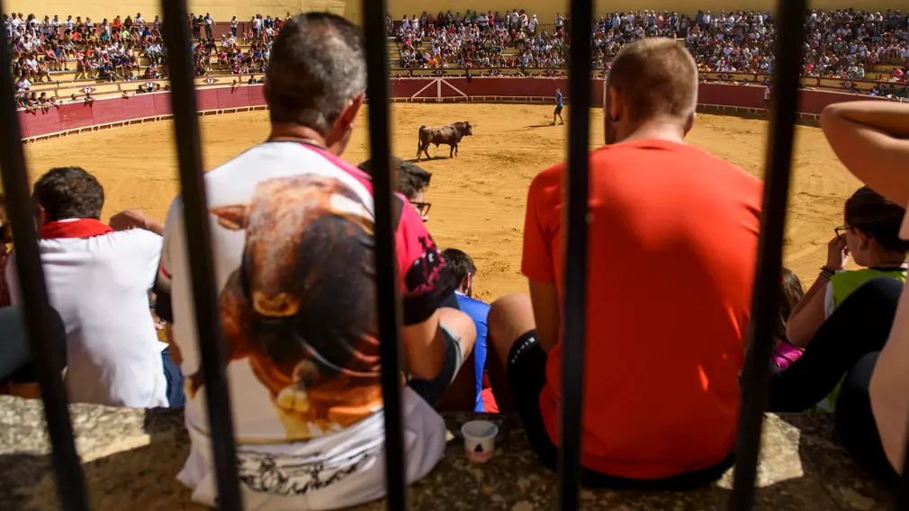 Toro con Soga en Lodosa el sabado de las Angustias por la mañana. MIGUEL OSÉS_29