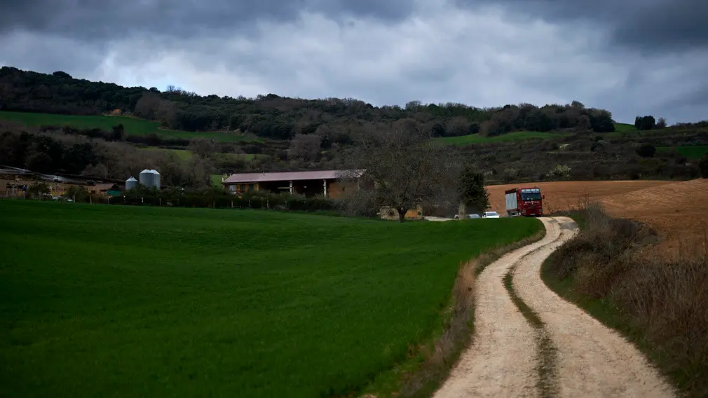La ganaderia de Miguel Reta se prepara para la primera suelta de vacas de la temporada en la localidad navarra de Villatuerta. MIGUEL OSÉS 19