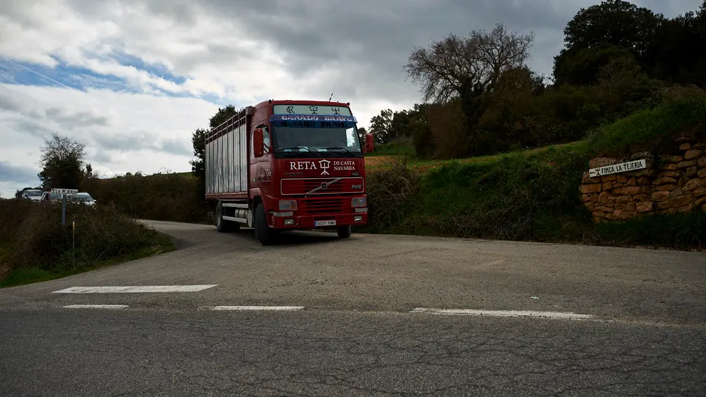 La ganaderia de Miguel Reta se prepara para la primera suelta de vacas de la temporada en la localidad navarra de Villatuerta. MIGUEL OSÉS 20