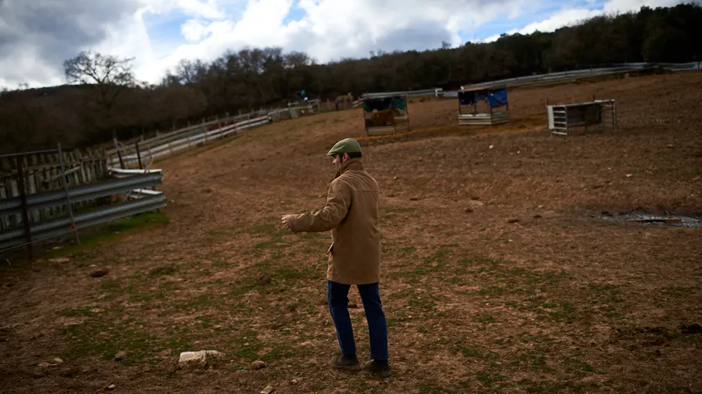 La ganaderia de Miguel Reta se prepara para la primera suelta de vacas de la temporada en la localidad navarra de Villatuerta. MIGUEL OSÉS 10