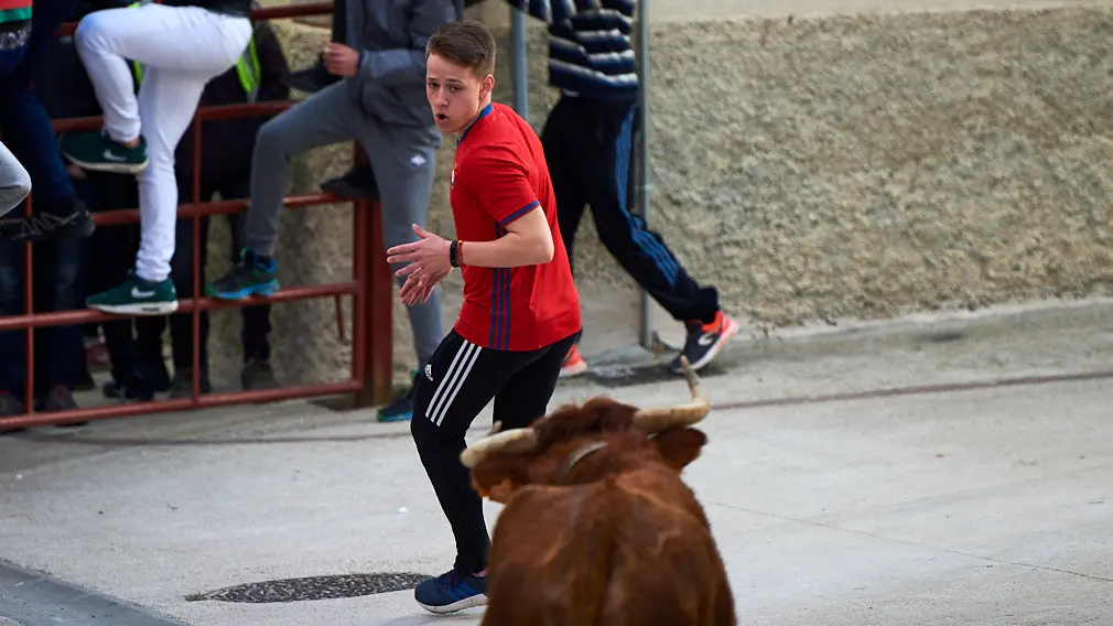 La ganaderia de Miguel Reta se prepara para la primera suelta de vacas de la temporada en la localidad navarra de Villatuerta. MIGUEL OSÉS 1