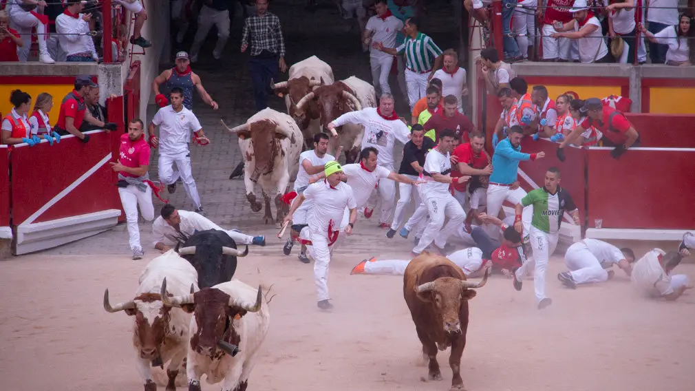 Primer encierro desde la plaza de toros, con la ganaderia Puerto de S.Lorenzo, Pamplona. NOEMÍ VERA  _27