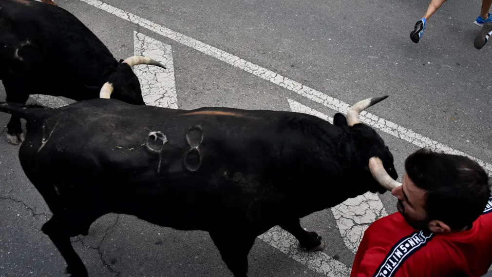 Encierro de las fiestas de Santa Ana 2019 en Tudela con la ganadería de La Palmosilla. MIGUEL OSÉS