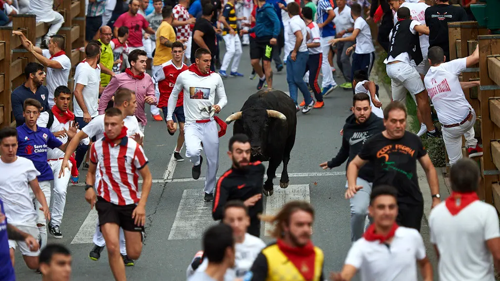 Encierro de las fiestas de Santa Ana 2019 en Tudela con la ganadería de La Palmosilla. MIGUEL OSÉS