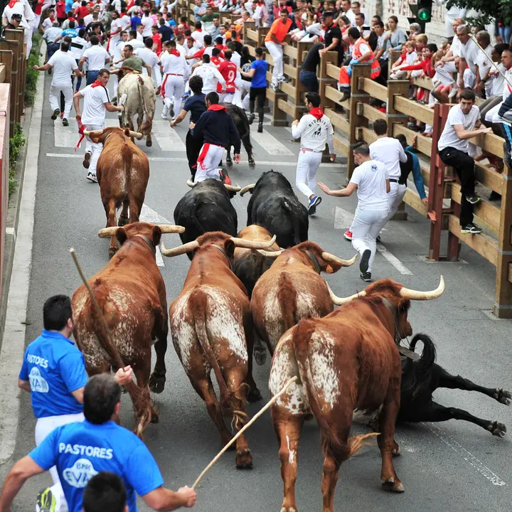 Encierro de las fiestas de Santa Ana 2019 en Tudela con la ganadería de La Palmosilla. ELSA A BRAVO