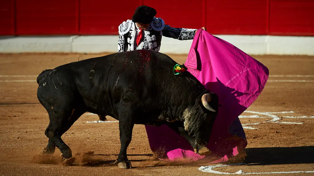 Corrida de toros en Corella con las ganaderías de Victorino Martín y Los Maños, para los diestros Morenito de Aranda, Rubén Pinar y Joaquín Galdós. MIGUEL OSÉS