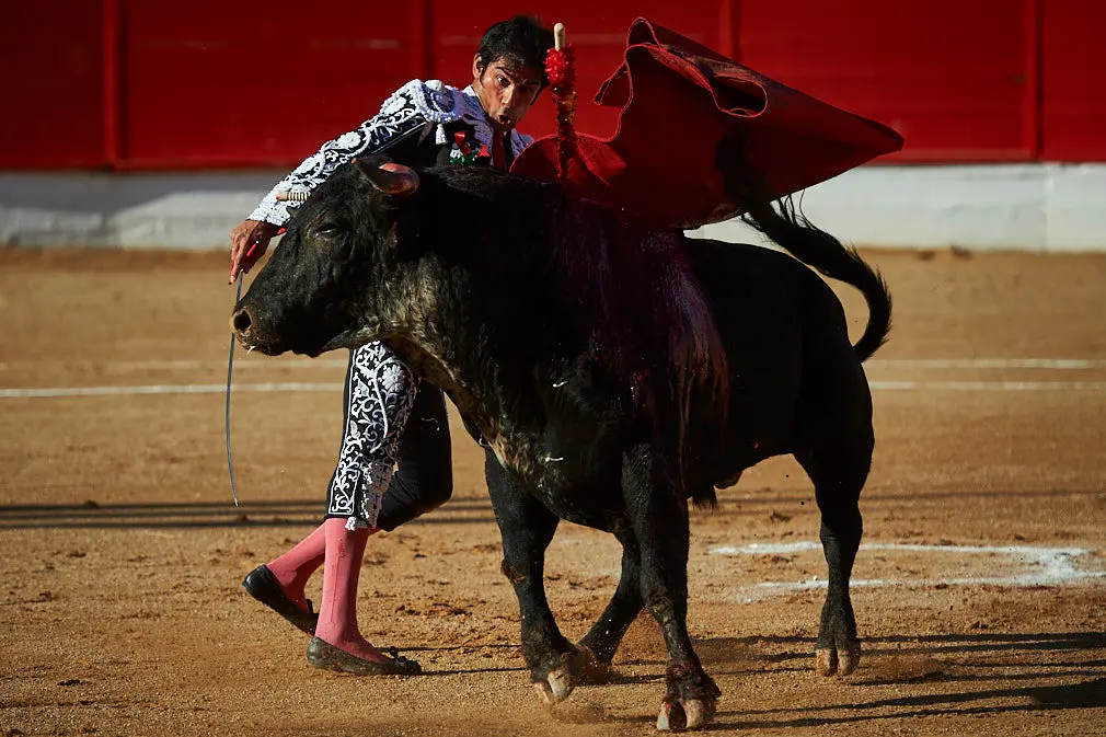 Corrida de toros en Corella con las ganaderías de Victorino Martín y Los Maños, para los diestros Morenito de Aranda, Rubén Pinar y Joaquín Galdós. MIGUEL OSÉS