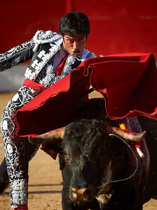 Corrida de toros en Corella con las ganaderías de Victorino Martín y Los Maños, para los diestros Morenito de Aranda, Rubén Pinar y Joaquín Galdós. MIGUEL OSÉS