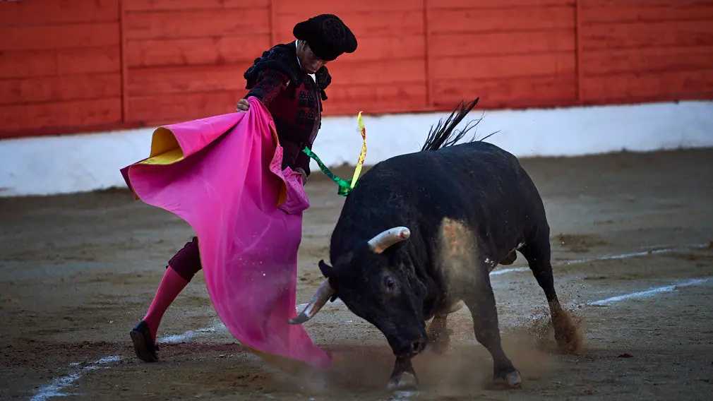Corrida de toros en Corella con las ganaderías de Victorino Martín y Los Maños, para los diestros Morenito de Aranda, Rubén Pinar y Joaquín Galdós. MIGUEL OSÉS