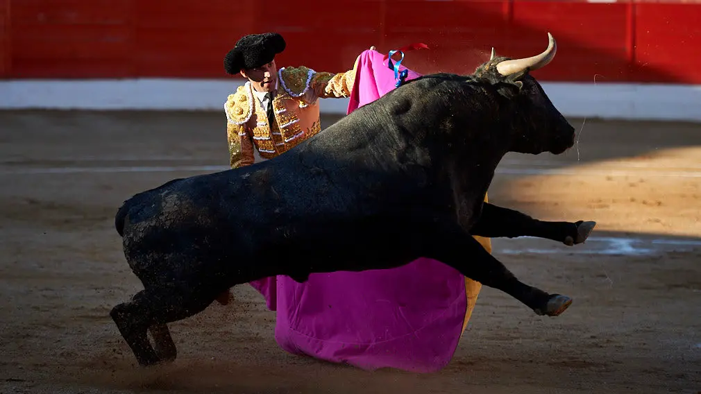 Corrida de toros en Corella con las ganaderías de Victorino Martín y Los Maños, para los diestros Morenito de Aranda, Rubén Pinar y Joaquín Galdós. MIGUEL OSÉS