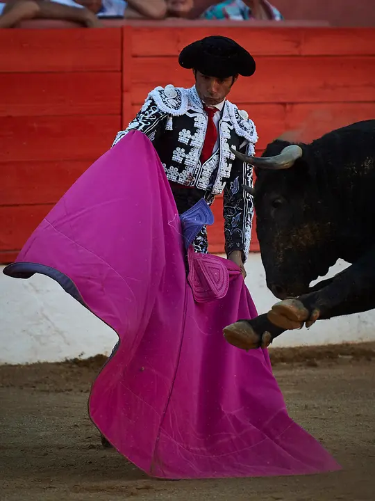 Corrida de toros en Corella con las ganaderías de Victorino Martín y Los Maños, para los diestros Morenito de Aranda, Rubén Pinar y Joaquín Galdós. MIGUEL OSÉS