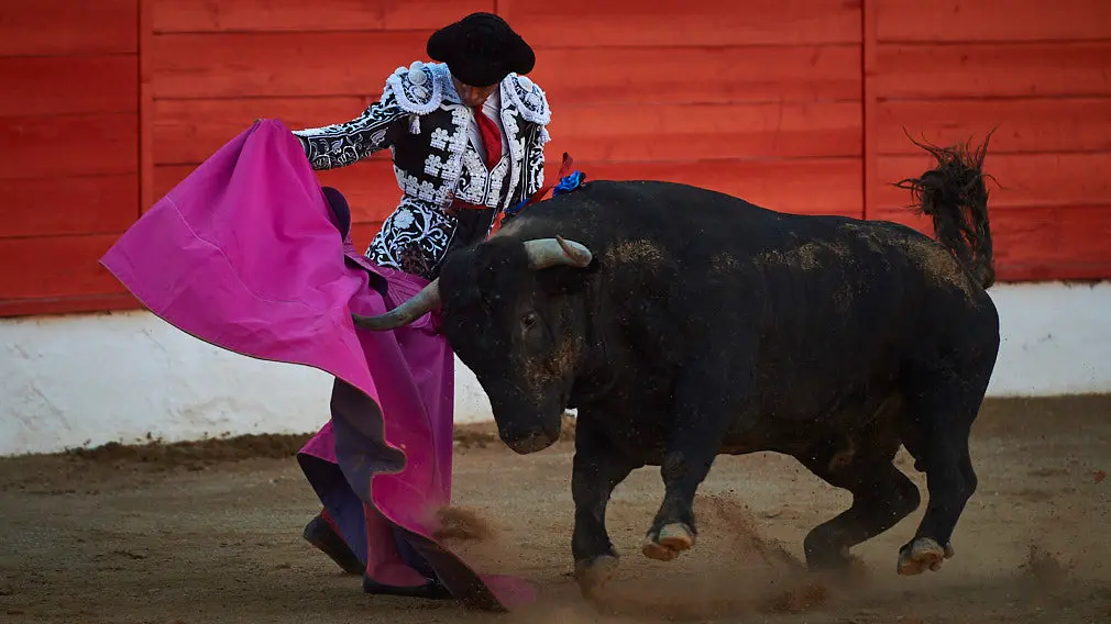 Corrida de toros en Corella con las ganaderías de Victorino Martín y Los Maños, para los diestros Morenito de Aranda, Rubén Pinar y Joaquín Galdós. MIGUEL OSÉS