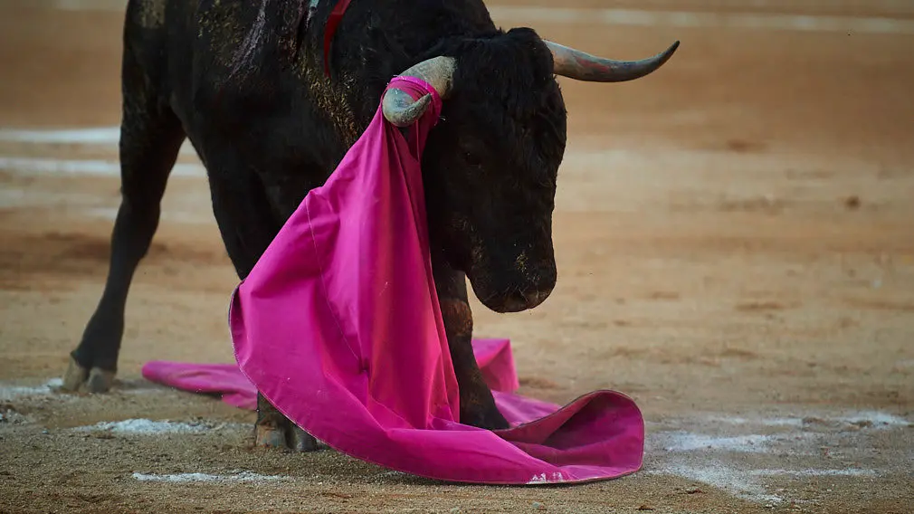 Corrida de toros en Corella con las ganaderías de Victorino Martín y Los Maños, para los diestros Morenito de Aranda, Rubén Pinar y Joaquín Galdós. MIGUEL OSÉS