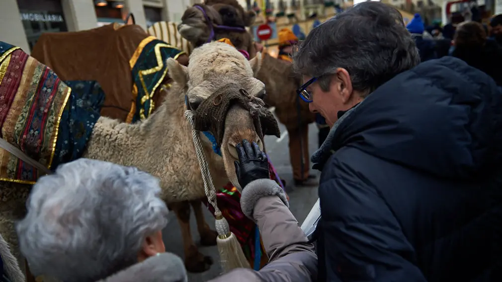 Degustación de los roscones de Reyes en la calle Bergamín con la presencia de las monturas reales. MIGUEL OSÉS